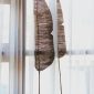 Cozy dry brown feather like plant placed on windowsill near white transparent curtains in daylight