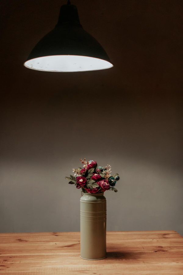 Red and White Flowers in White Ceramic Vase