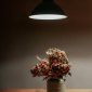 Red and White Flowers on White Ceramic Vase